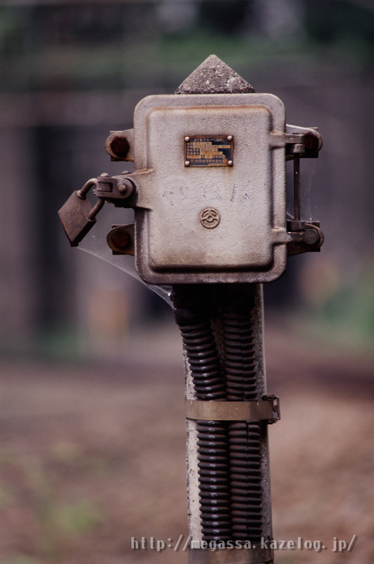 めがっさピンぼけ : CONTAX Tele-Tessar 200mm f4 AE-G