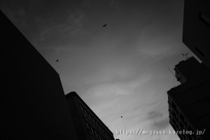 Dsc02174