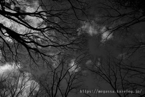 Dsc03801_2 Dsc03801_2