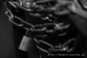 Dsc03969