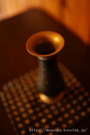 Dsc04910
