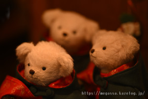 Dsc_0339 Dsc_0339