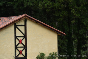 Dsc_0382 Dsc_0382