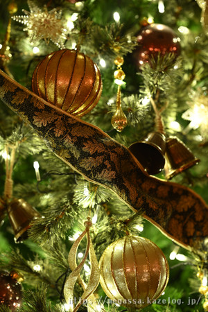 Dsc_0387 Dsc_0387