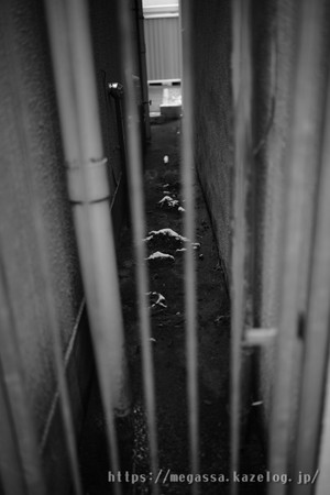 Dsc06091_2 Dsc06091_2