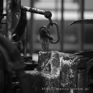 Dsc_4731