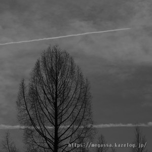 Dsc07081