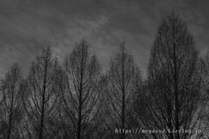 Dsc07086