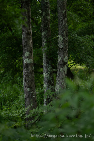 Dsc07929 Dsc07929