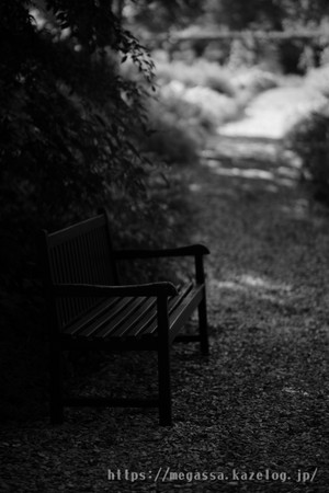 Dsc07945 Dsc07945