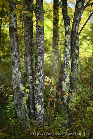 Dsc_5263 Dsc_5263